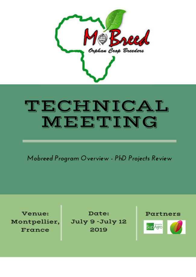 technical meeting mobreed