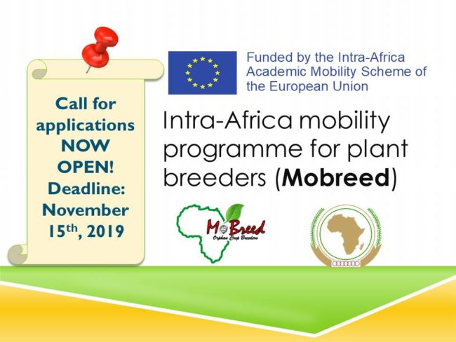 Open call for application M.