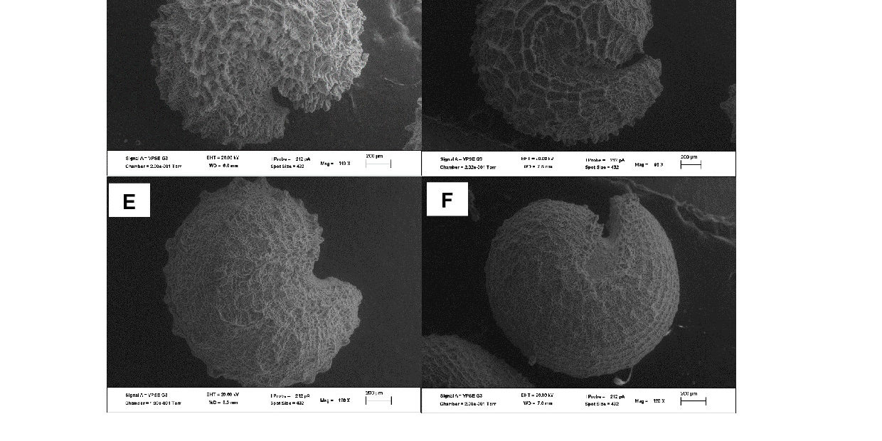 FIGURE 1_Blalogoe and al_20032020