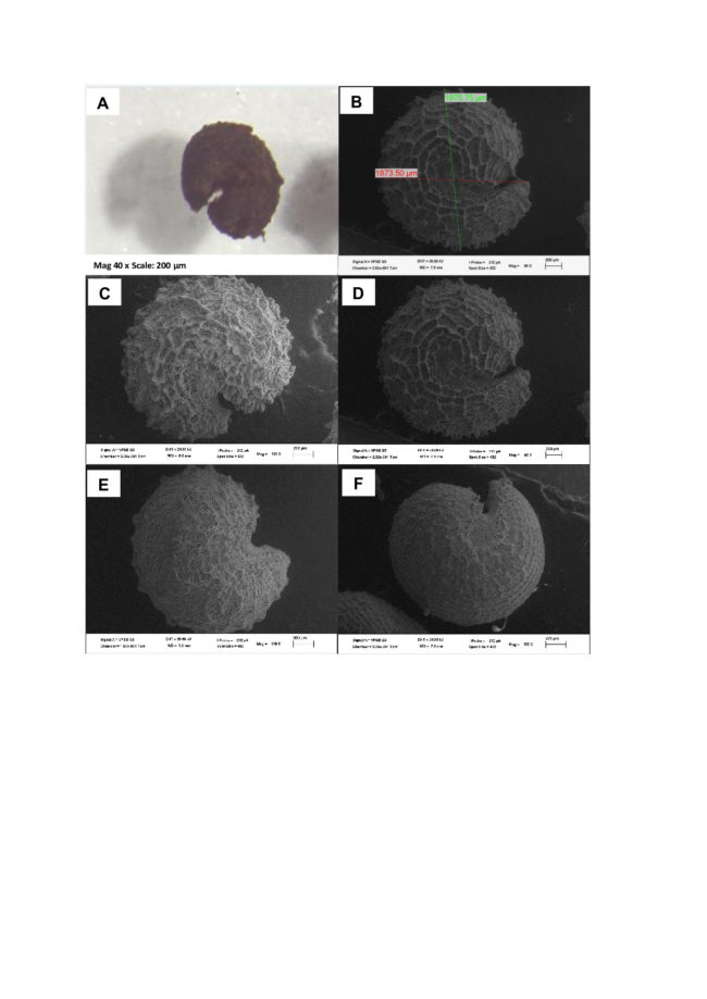 FIGURE 1_Blalogoe and al_20032020