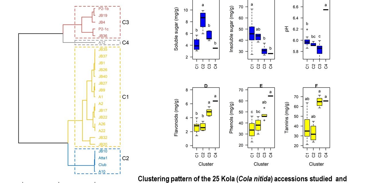 Graphical abstract kola
