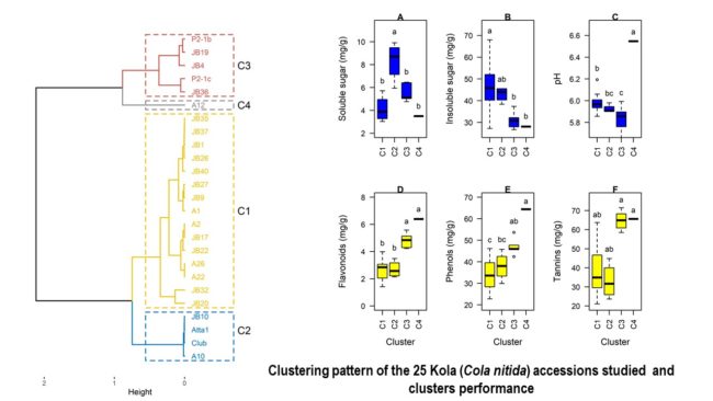 Graphical abstract kola