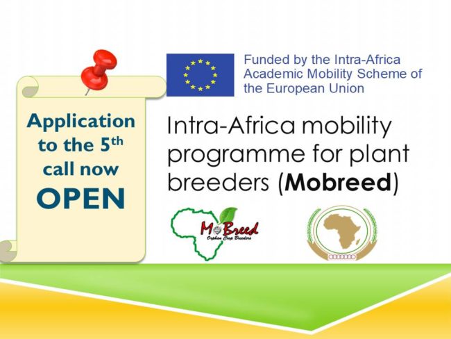 Open call for application 13