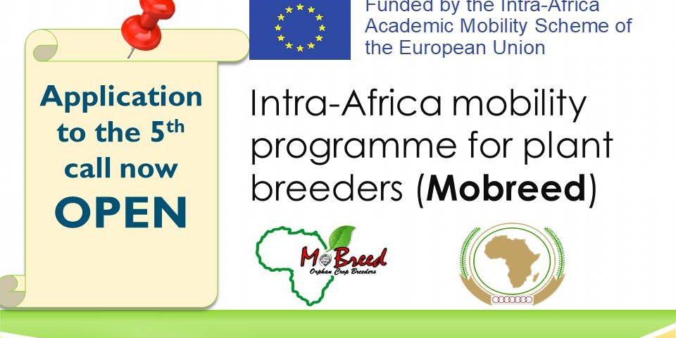 Open call for application 13
